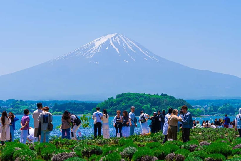 From Tokyo: Mt Fuji, Arakurayama and Kawaguchi Lake Day Trip - Lake Kawaguchi, Oishi Park, and seasonal color