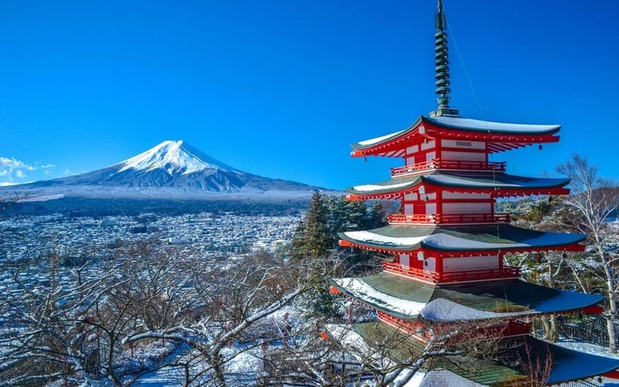 From Tokyo: Mt. Fuji Customizable Full day private Tour - Key Points Before You Book