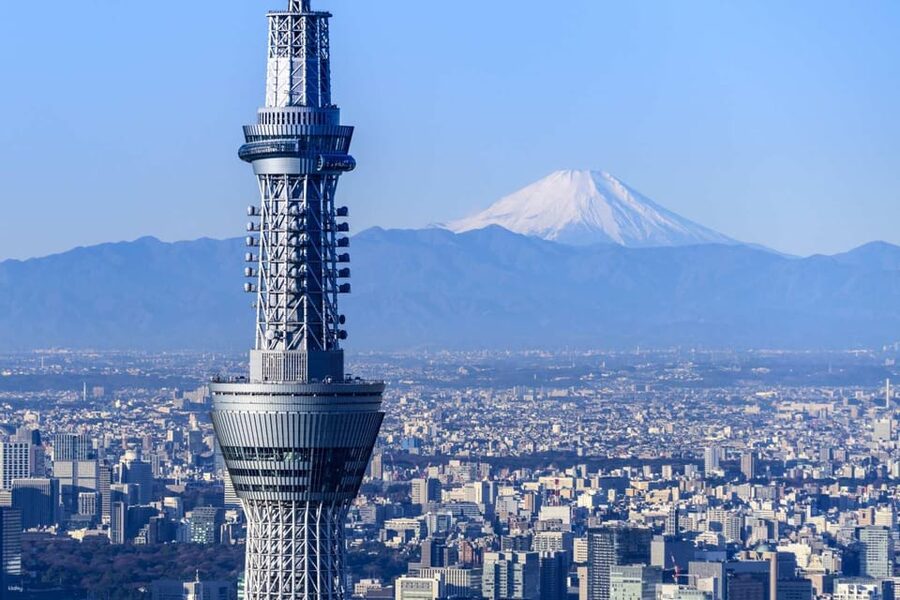 From Tokyo: Mt. Fuji Customizable Full day private Tour - Why a Private Fuji Day Makes Sense