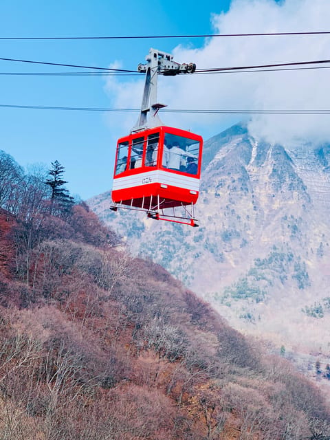 From Tokyo: Mt. Fuji Customizable Full day private Tour - Mt. Fuji 5th Station: Starting High on the Mountain
