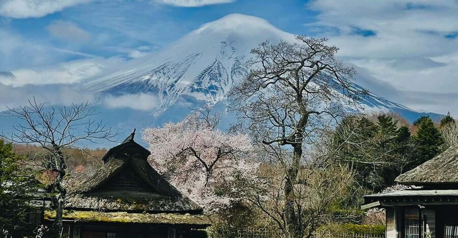 From Tokyo: Mt. Fuji Customizable Full day private Tour - Lake Kawaguchi and Oishi Park