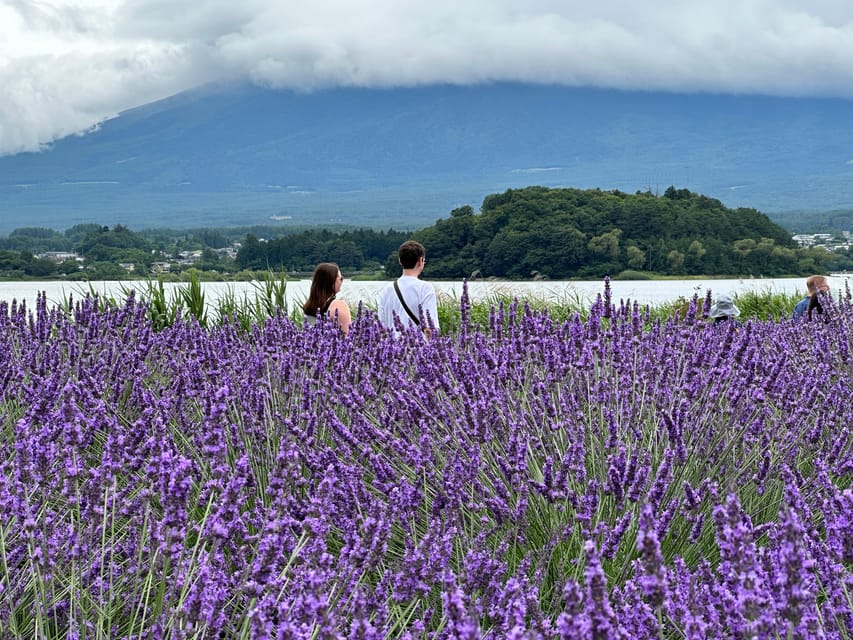 From Tokyo: Mt.Fuji & Gotemba Outlets Private Day Trip - Gotemba Premium Outlets for 2.5 Hours