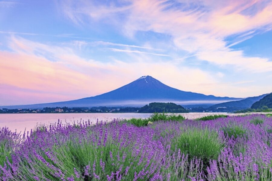 From Tokyo: Mt. Fuji, Hakone, Owakudani & Lake Ashi Bus Tour - Hakone brings mountains and hot earth