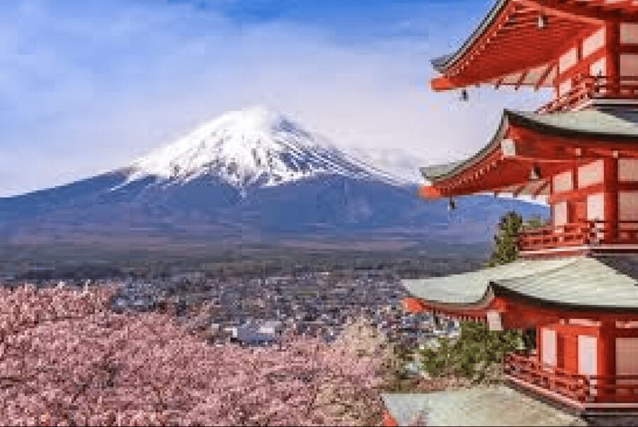 From Tokyo: Mt. Fuji, Hakone, Owakudani & Lake Ashi Bus Tour - The Hakone Ropeway is the visual highlight