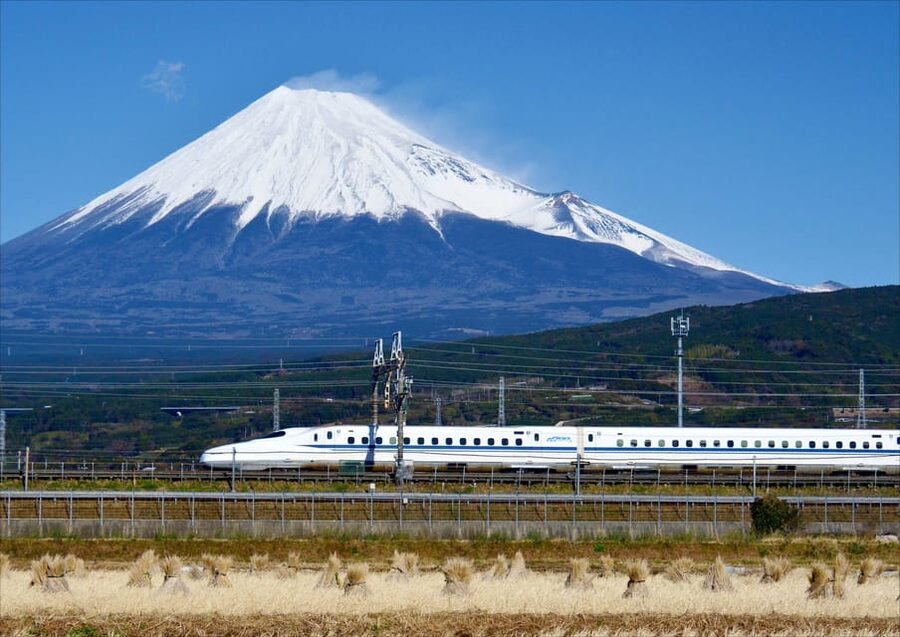 From Tokyo: Mt. Fuji & Hakone Tour w/ Return by Bullet Train - Who will enjoy this day most?