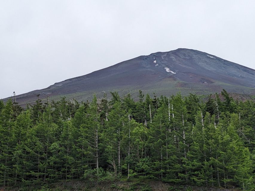 From Tokyo: Mt. Fuji & Hakone Tour w/ Return by Bullet Train - Lake Ashi and the decorated Pirate Ship