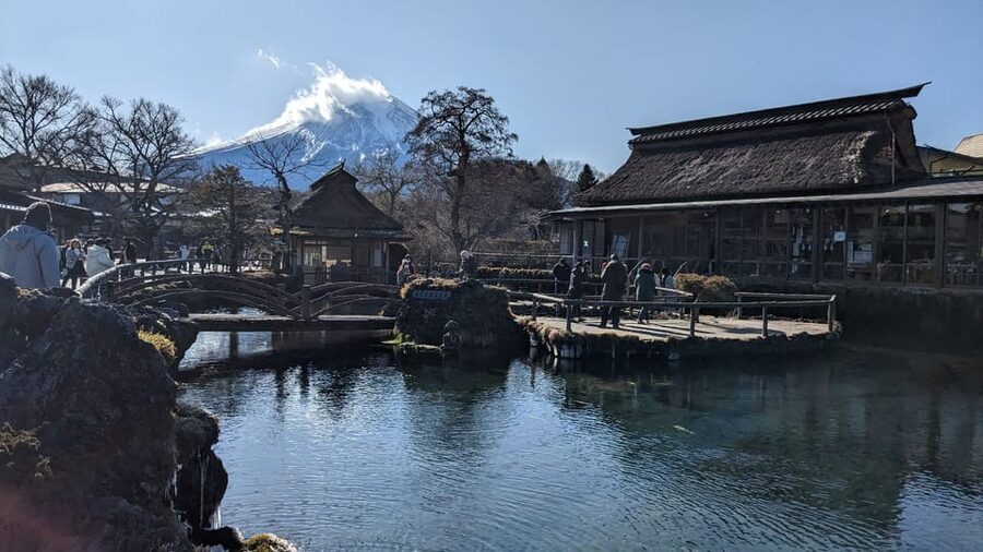 From Tokyo: Mt. Fuji & Hakone Tour w/ Return by Bullet Train - The Shinkansen from Odawara to Tokyo