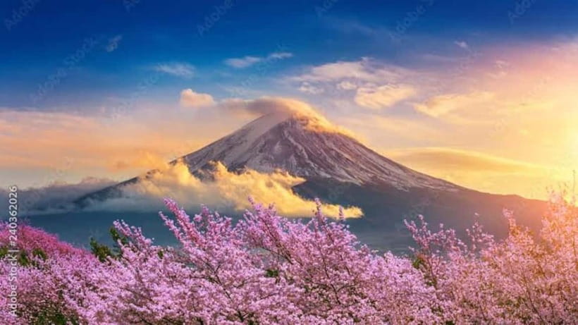 From Tokyo: Mt. Fuji or Hakone Private Tour & English Guide - Key points to know before booking
