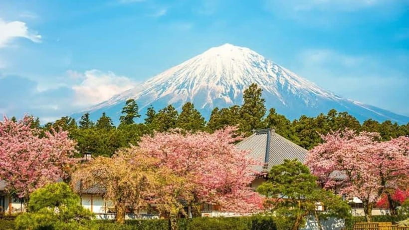 From Tokyo: Mt. Fuji or Hakone Private Tour & English Guide - Oshino Hakkai and its eight clear springs