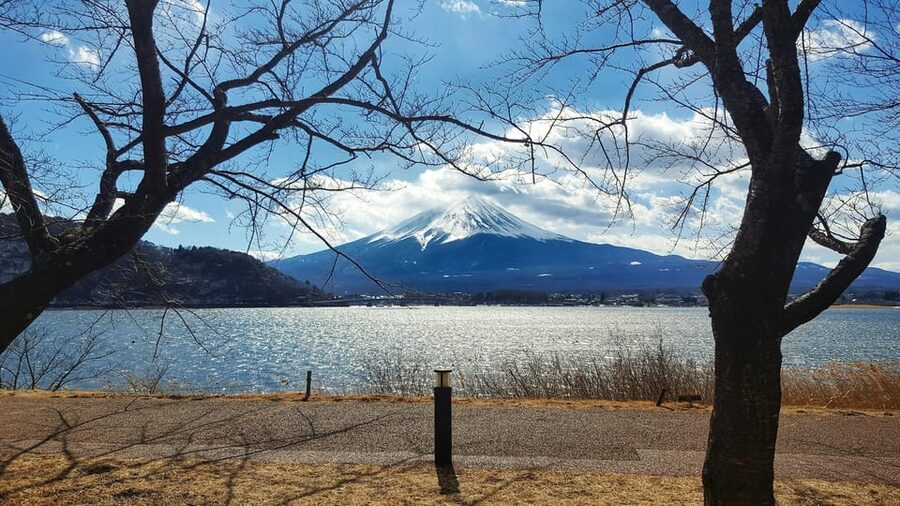 From Tokyo: Mt. Fuji or Hakone Private Tour & English Guide - Lake Kawaguchiko, Oishi Park, and the water-level view