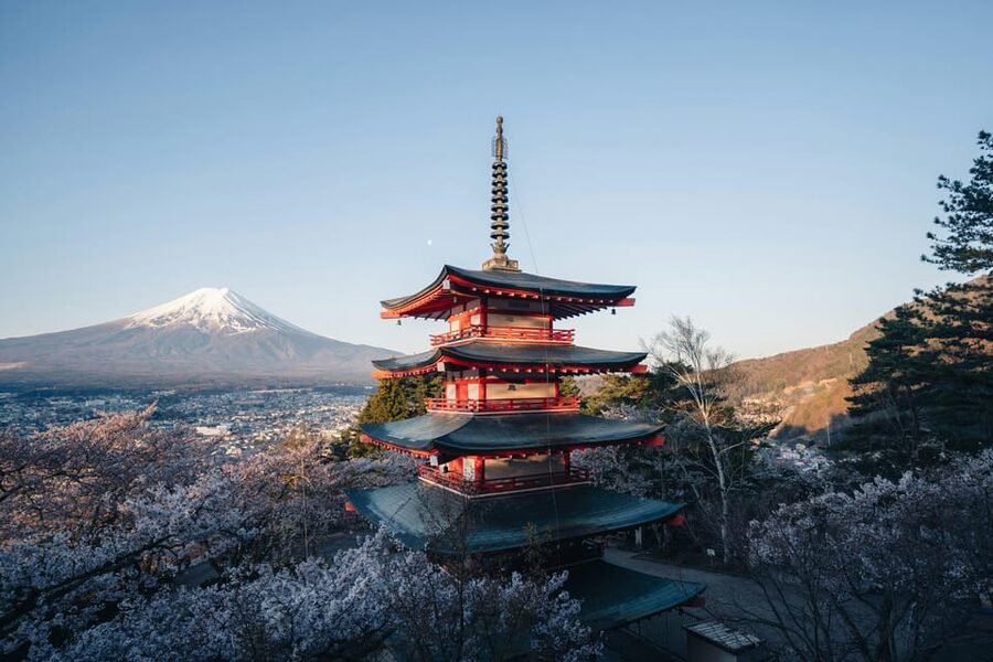 From Tokyo: Mt. Fuji or Hakone Private Tour & English Guide - Lake Yamanaka, the Ninja Village, and optional shopping