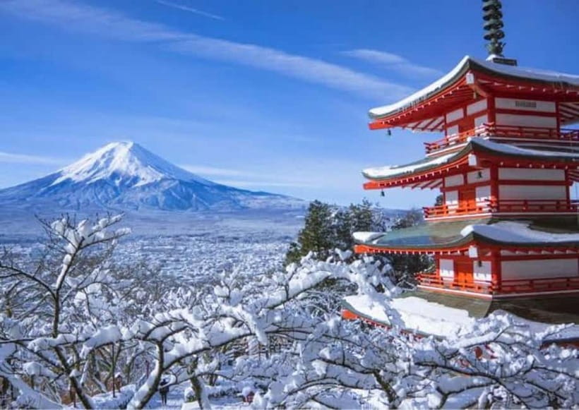 From Tokyo: Mt. Fuji or Hakone Private Tour & English Guide - Why the private van makes a difference