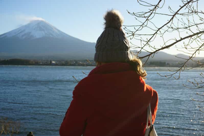 From Tokyo: Mt. Fuji or Hakone Private Tour & English Guide - Mt. Fuji 5th Station: start high, but keep expectations realistic