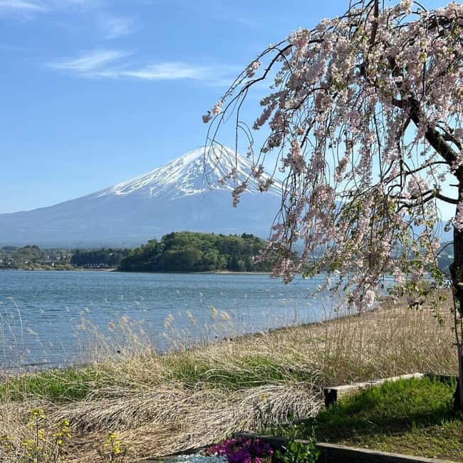 From Tokyo: Mt Fuji Private Day Tour In Luxury Land Cruiser - Oshino Hakkai and the classic Fuji views