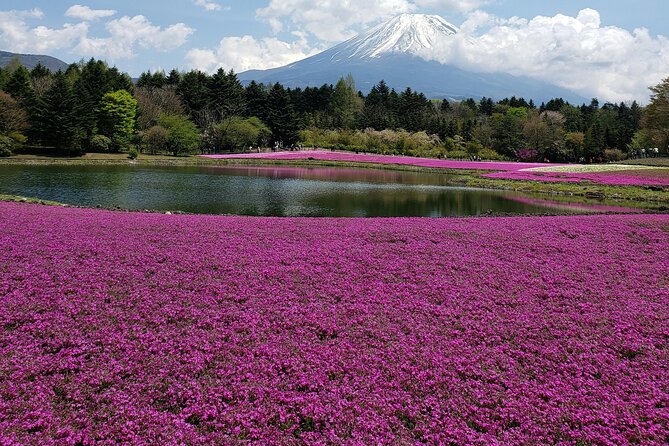 From Tokyo-MT Fuji PVT 1 Day Customized Tour with English Driver - Oshino Hakkai and a glimpse of rural Japan