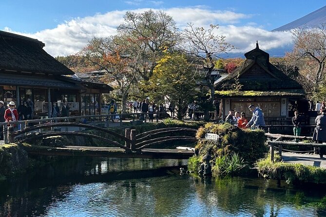 From Tokyo-MT Fuji PVT 1 Day Customized Tour with English Driver - Oishi Park beside Lake Kawaguchi