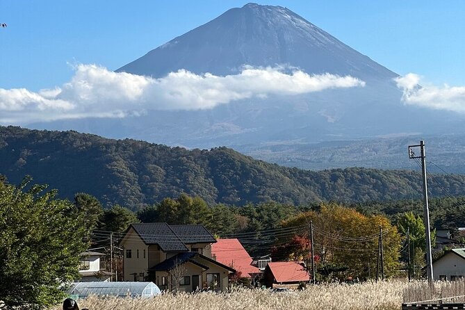 From Tokyo-MT Fuji PVT 1 Day Customized Tour with English Driver - Shrines at the foot of the sacred mountain