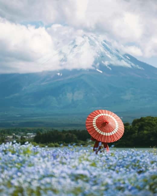 From Tokyo: Must-Visit Mount Fuji Highlight Full-Day Tour - Should you book it?