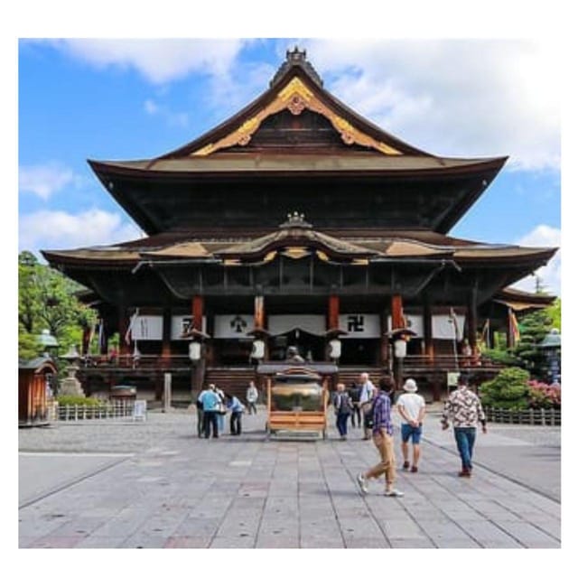 From Tokyo/Nagano: Luxury Snow Monkey Private Full-Day Tour - Family, mobility, and comfort notes