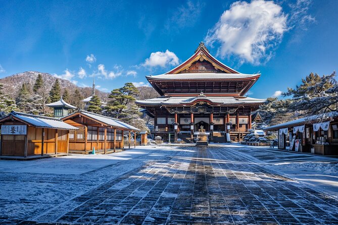 From Tokyo: Nagano Snow Monkey Park Private Tour - Who should book this experience