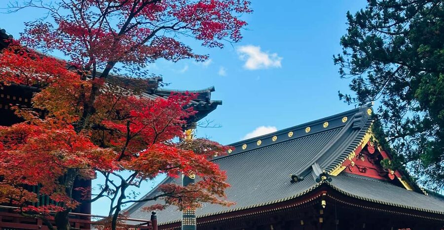 From Tokyo: Nikko Customize private Tour With English Driver - Toshogu Shrine: Nikko’s most detailed cultural stop