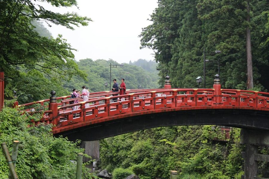 From Tokyo: Nikko Full-Day Sightseeing Trip - Toshogu Shrine rewards a slow look