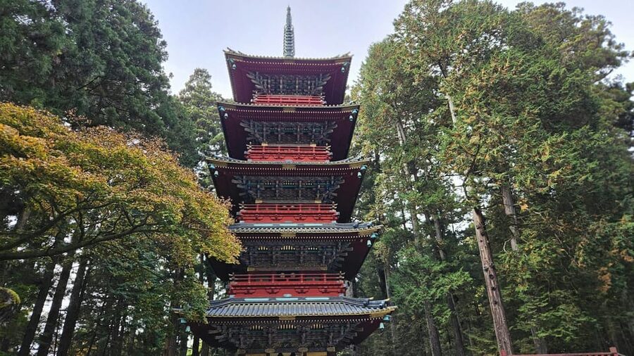 From Tokyo: Nikko Full-Day Sightseeing Trip - The road is part of the experience, and part of the cost