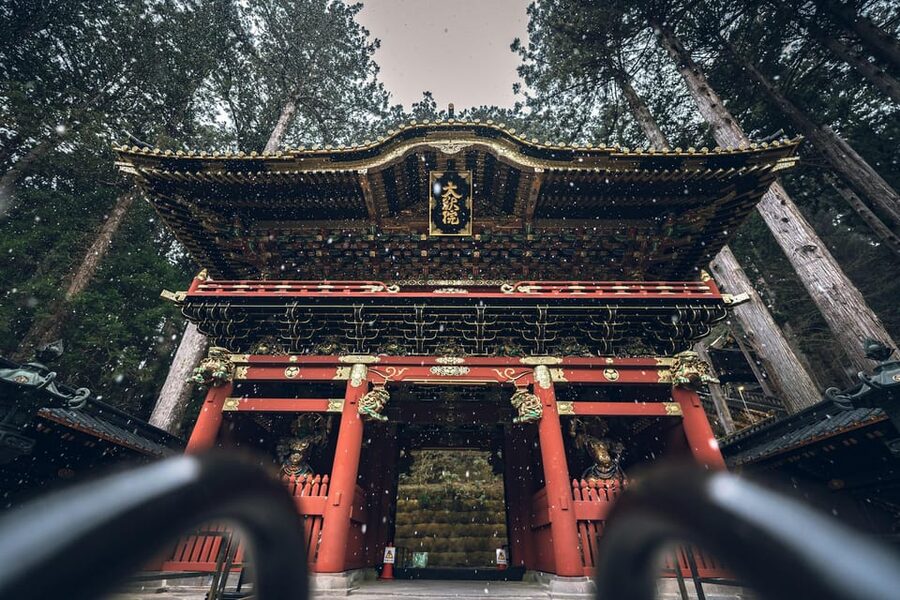 From Tokyo: Nikko Full-Day Sightseeing Trip - Guide style and how to get more from the day