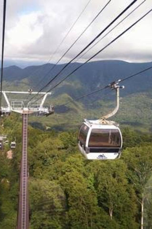 From Tokyo: Nikko luxury Tour with English-speaking Guide - Key points at a glance