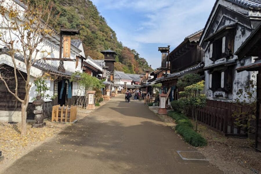 From Tokyo: Nikko luxury Tour with English-speaking Guide - Futarasan Shrine and a quieter religious setting