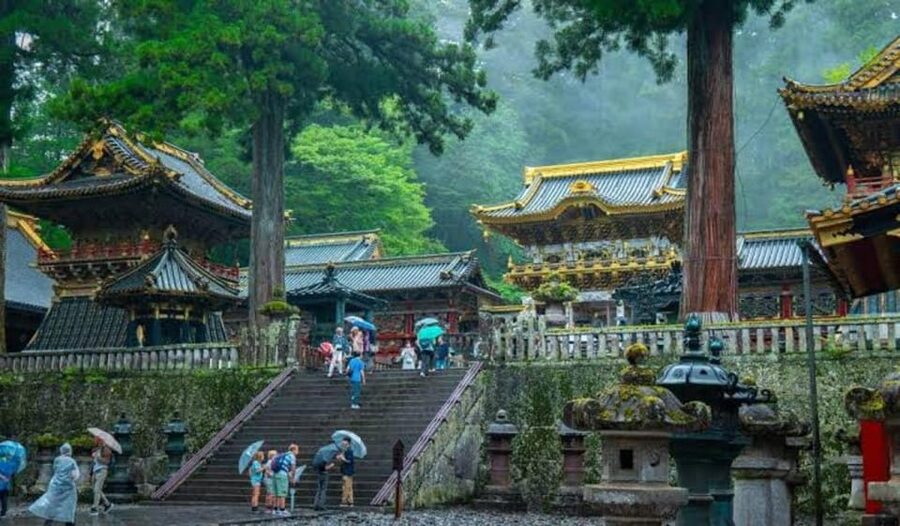 From Tokyo: Nikko luxury Tour with English-speaking Guide - Lake Chuzenji, lunch, and time to slow down