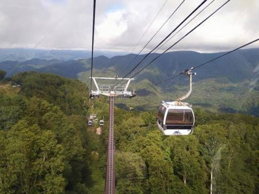 From Tokyo: Nikko luxury Tour with English-speaking Guide - The two-hour ride into Nikko