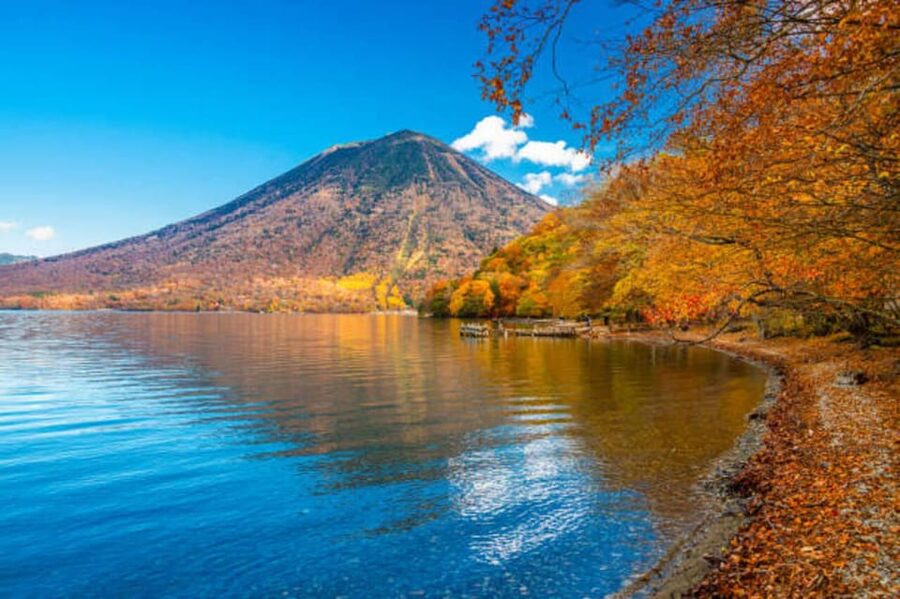 From Tokyo: Nikko Toshogu Day tour with Traditional Lunch - Key points to know before booking