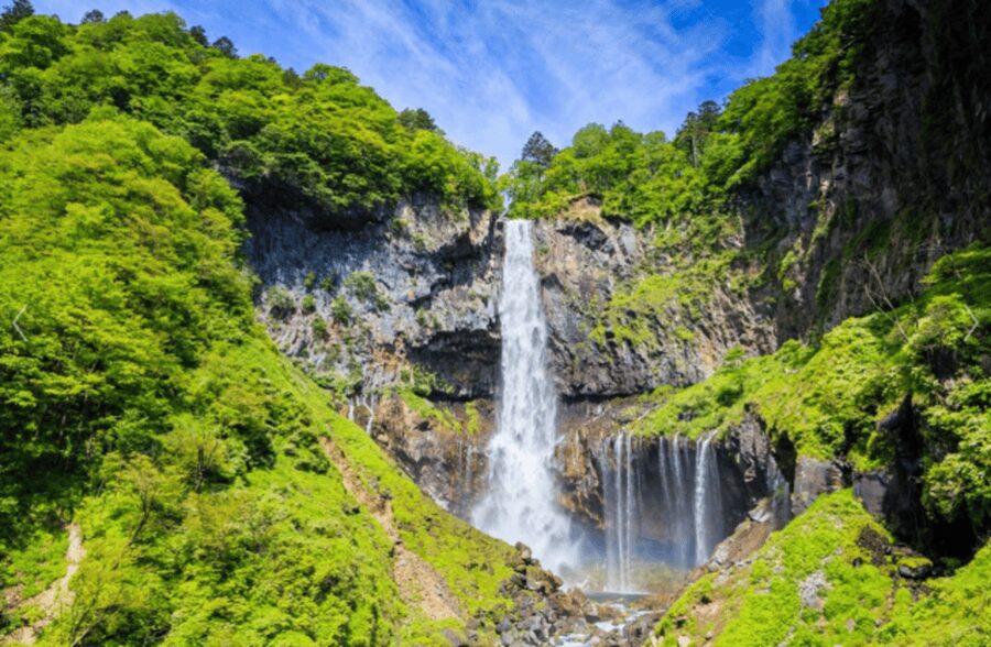 From Tokyo: Nikko Toshogu Day tour with Traditional Lunch - Why Nikko makes a strong day trip from Tokyo