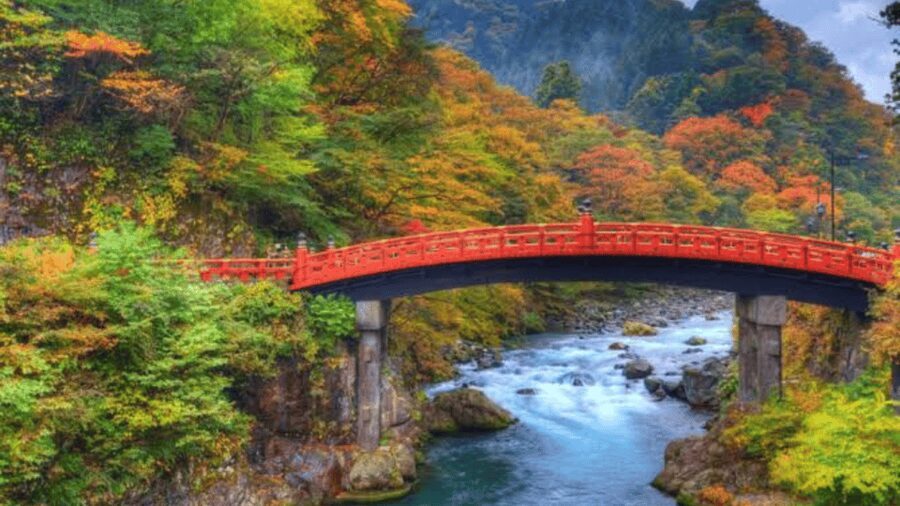 From Tokyo: Nikko World Heritage Full Day Private Tour - Why this Nikko day trip works from Tokyo