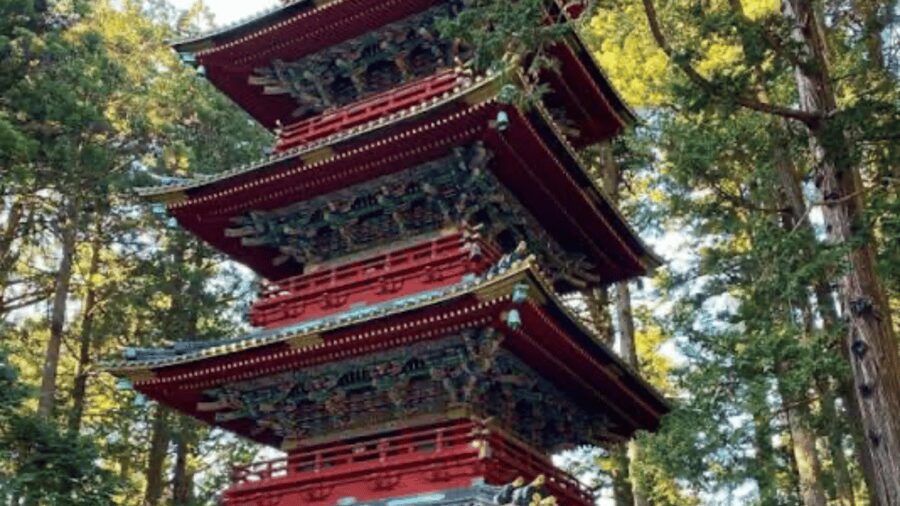 From Tokyo: Nikko World Heritage Full Day Private Tour - Edo Wonderland, and an itinerary detail to confirm