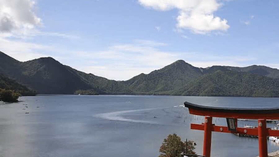From Tokyo: Nikko World Heritage Full Day Private Tour - Transport, guides, and the value of a private vehicle