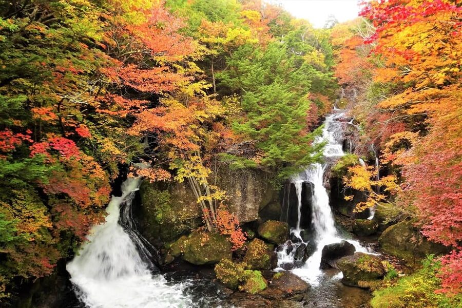 From Tokyo: Nikko World Heritage Sight Full Day Private Tour - Why Nikko works so well as a day trip from Tokyo