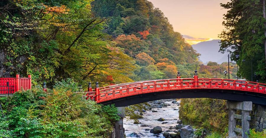 From Tokyo: Nikko World Heritage Sight Full Day Private Tour - Rinnoji Temple, National Park, and Shinkyo Bridge