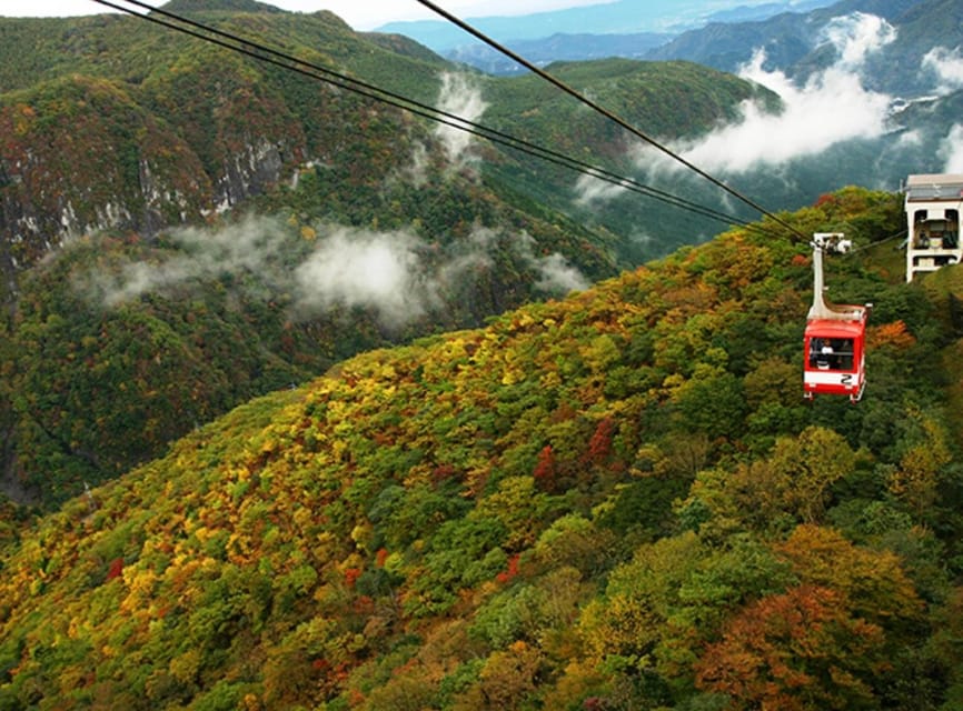 From Tokyo:Niko World Heritage Private tour English Driver - What the $421 group price really buys you