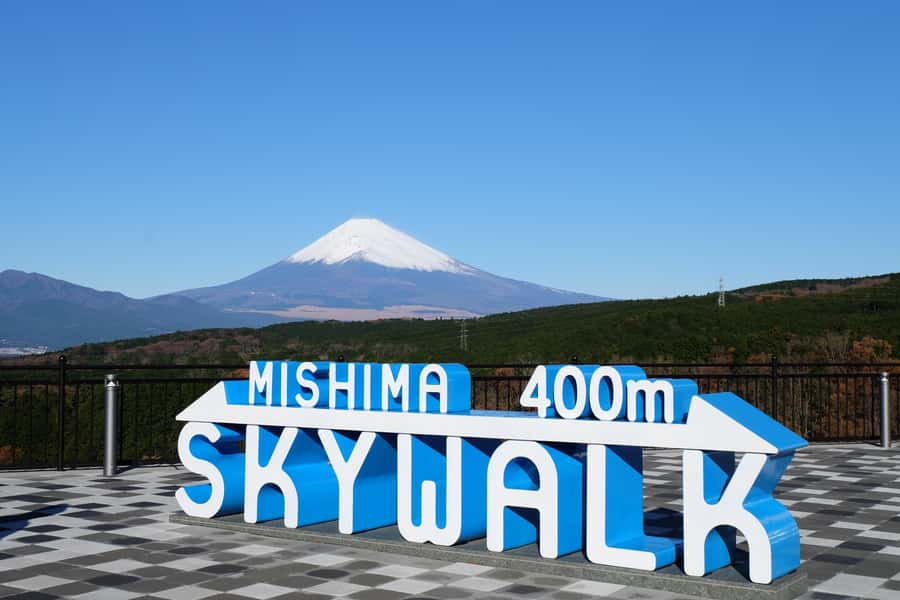From Tokyo: Numazu Port and Gotemba Outlets Day Tour - Key points at a glance