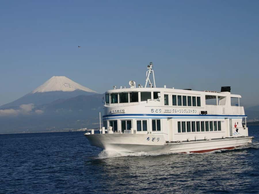 From Tokyo: Numazu Port and Gotemba Outlets Day Tour - What makes the seafood stop worth the time