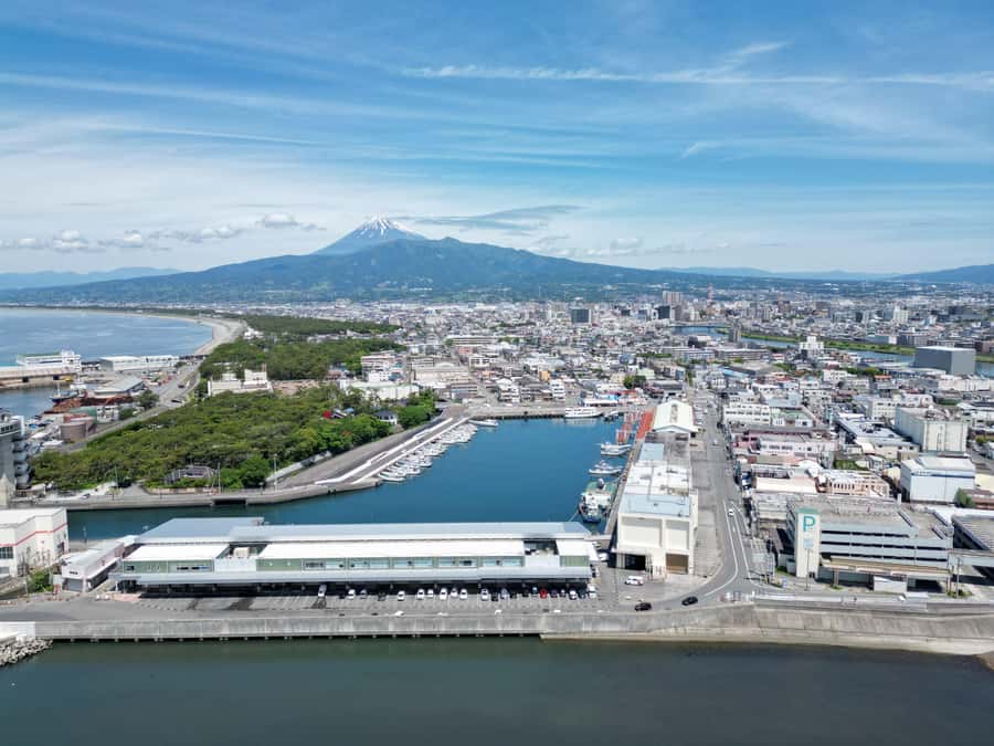 From Tokyo: Numazu Port and Gotemba Outlets Day Tour - Mt. Fuji: wonderful when visible, absent when not