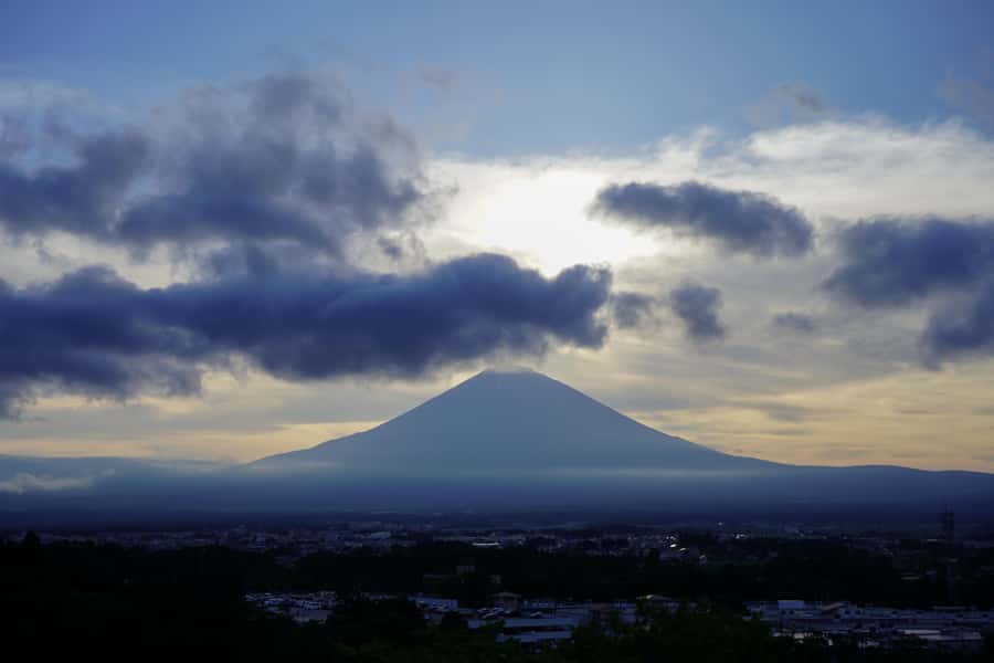 From Tokyo: Numazu Port and Gotemba Outlets Day Tour - Returning to Tokyo and the dinner option