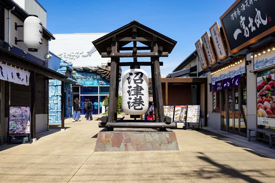 From Tokyo: Numazu Port and Gotemba Outlets Day Tour - Meeting the bus at Tokyo Station