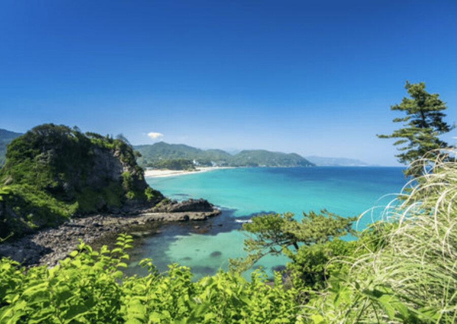 From Tokyo: Private Day Trip to Izu & Shimoda, Shizuoka - Key points to know before booking