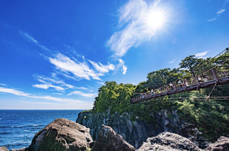 From Tokyo: Private Day Trip to Izu & Shimoda, Shizuoka - Why Shimoda is worth the long ride from Tokyo