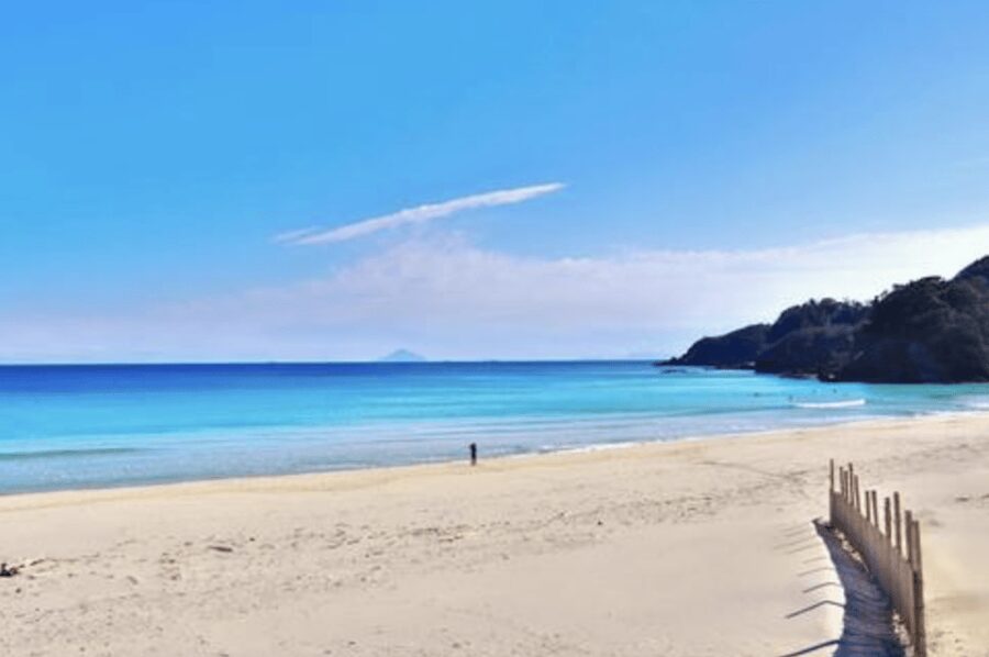 From Tokyo: Private Day Trip to Izu & Shimoda, Shizuoka - Perry Road: a short walk with old-fashioned character