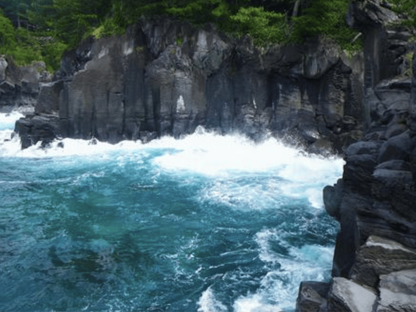 From Tokyo: Private Day Trip to Izu & Shimoda, Shizuoka - The guide can shape the whole day