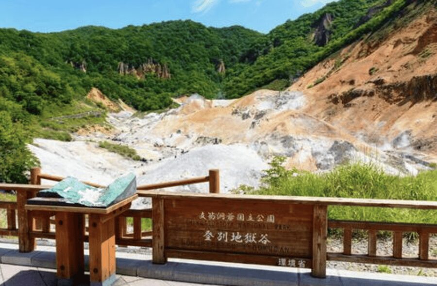 From Tokyo: Private Day Trip to Snow Monkey & Zenkoji - Who should book this Nagano day trip?